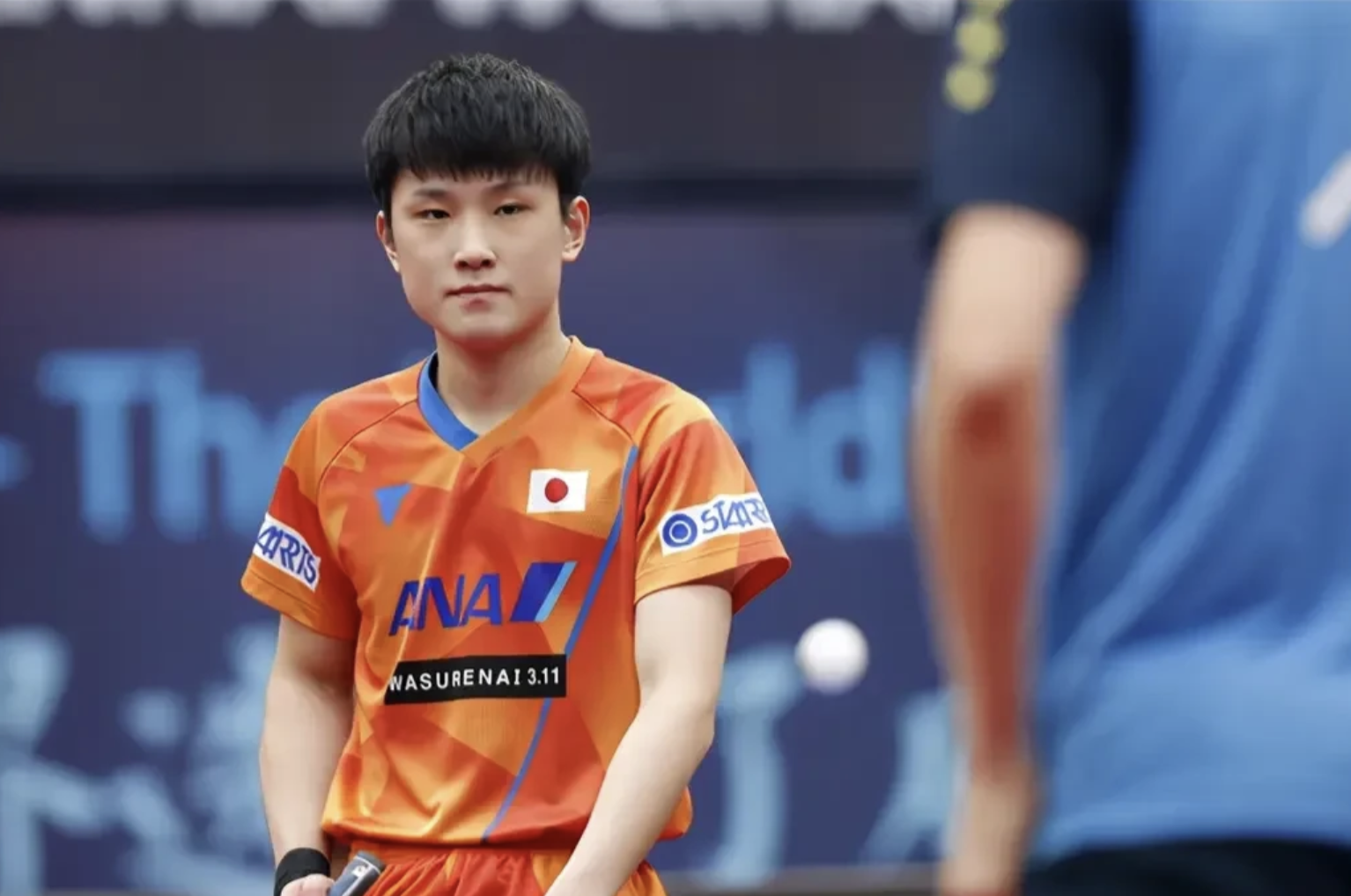 德国乒乓球队完胜波兰乒乓球队,张本智和打破历史纪录 德国乒乓球队完胜波兰乒乓球队,张本智和打破历史纪录