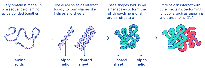英雄联盟盘口突变，业内人士深度分析