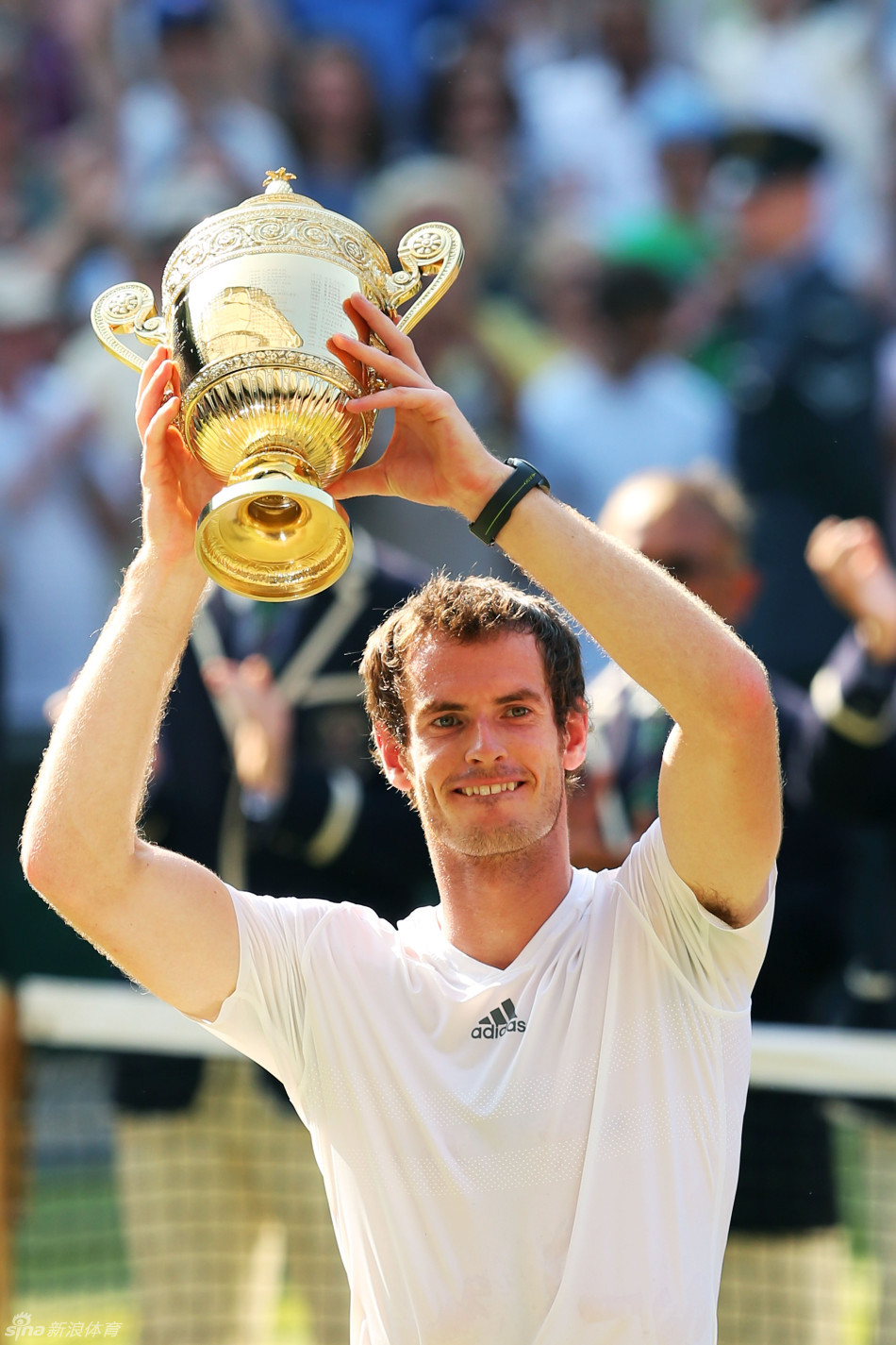 温网碾压戴维斯杯,穆雷高光表现 温网碾压戴维斯杯,穆雷高光表现