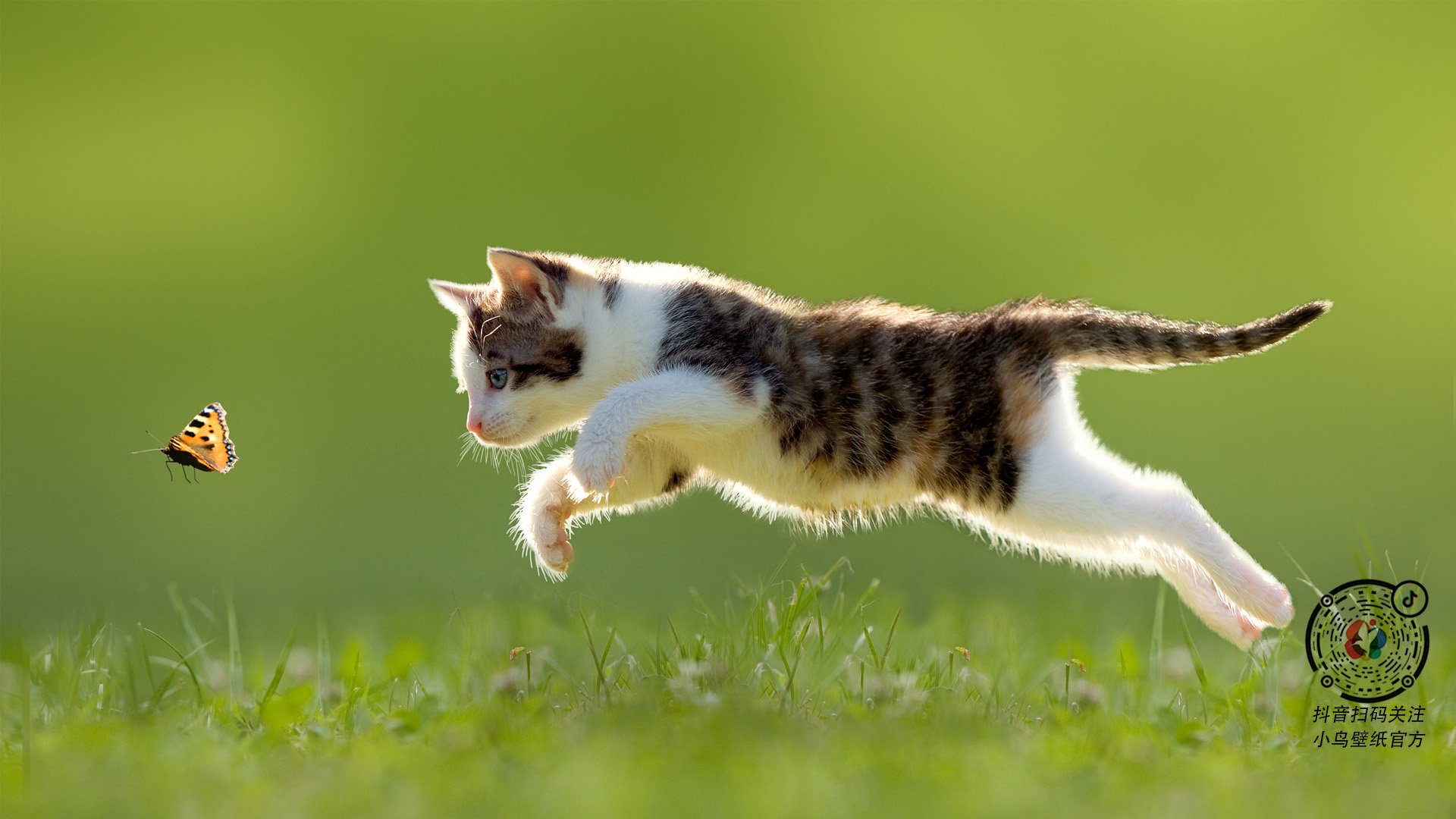 改写历史的十二分钟,皮克封神时刻领英格兰翻盘罗马