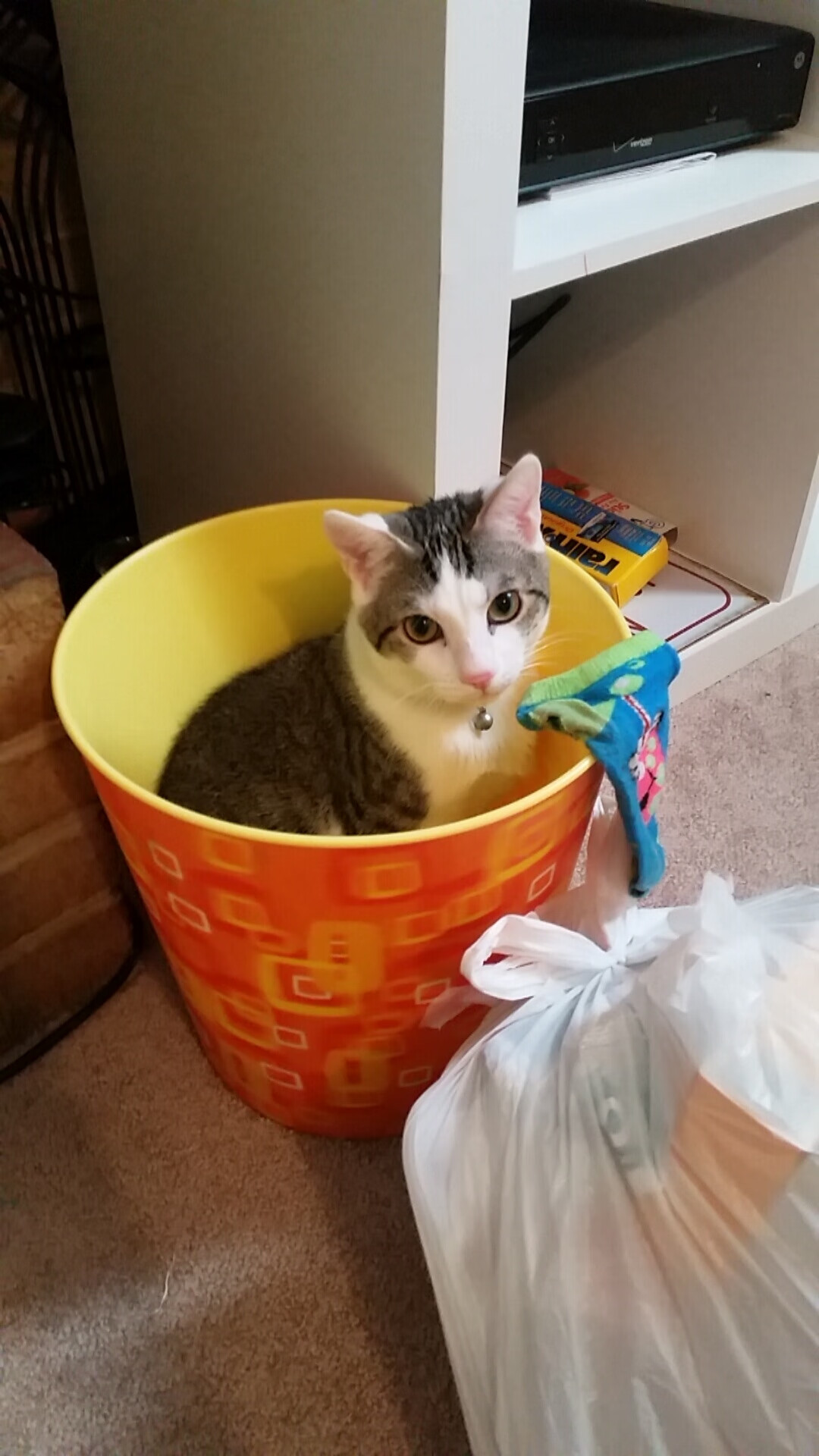 银色闪电刺破蓝色巨塔，姆巴佩惊艳之夜与塞维利亚的逆袭诗篇