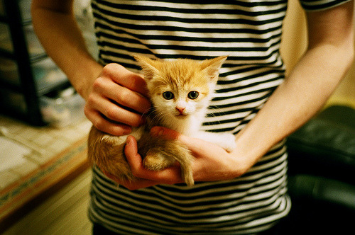 离岸流，当葡萄牙带走德国，基耶萨成为风暴眼