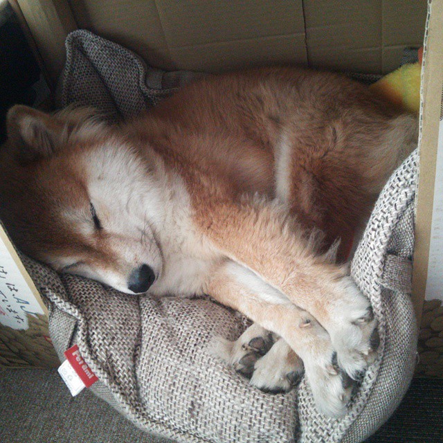 东方魔法,久保建英在寂静球场导演的逆转神话