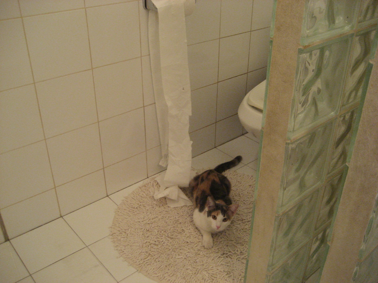 战术双城记，约基奇的个人交响与鹈鹕的集体箴言