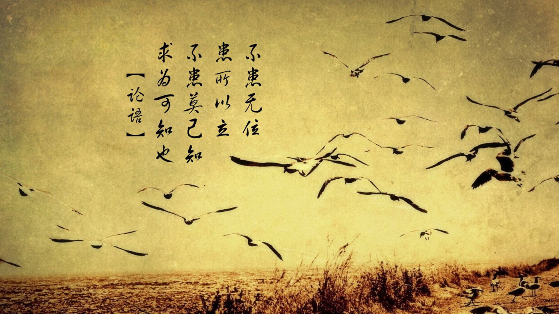 战术的共鸣，从德甲争冠焦点战到洪都拉斯压制尼日利亚的足球智慧