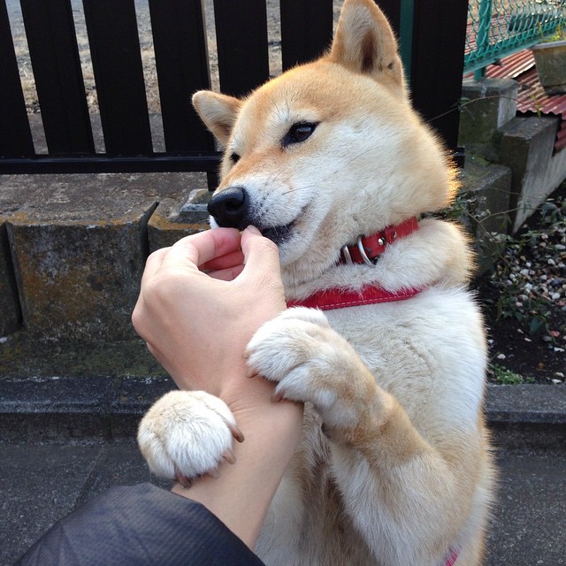 极致轰鸣与寂静绝杀,当F1引擎咆哮遇见文班亚马的关键节点