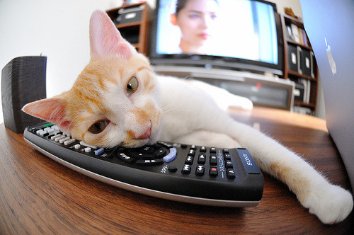 若日尼奥的节拍器魔法，西班牙对阵卡塔尔的战术心脏