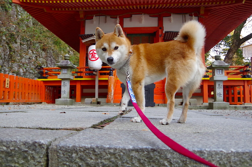 现代神话,当库里在终场前第137秒化身关键先生