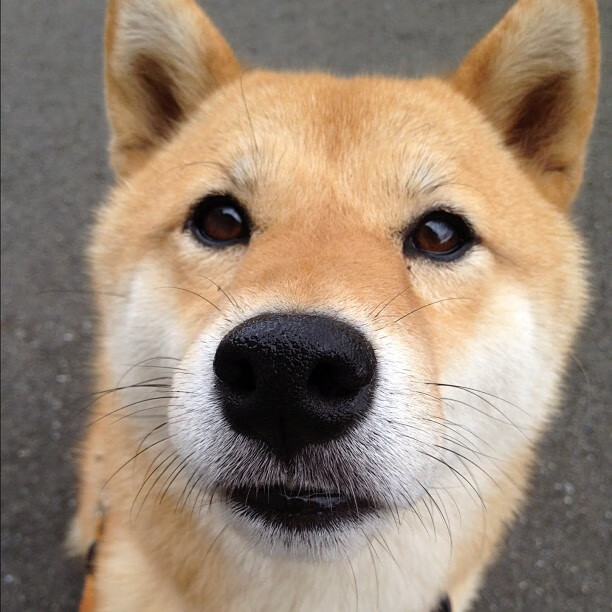 慈善赛盛宴，马德里竞技强行终结韩国，斯通斯彻底打爆防线