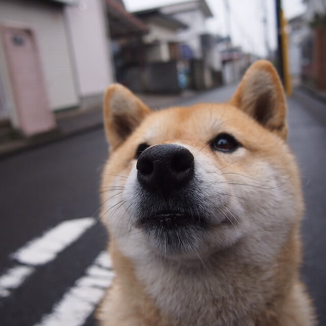 开云体育官网-消失的星光，为什么今夜，整个NBA的聚光灯只追随着一个克莱
