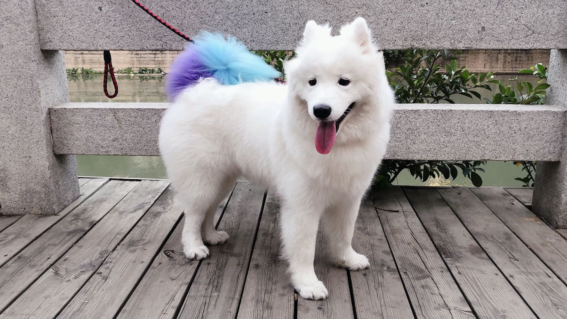 加时鏖战，孤胆英雄！乔治狂砍45分率尼克斯险胜凯尔特人